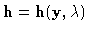 ${\bf h}={\bf h}({\bf y},\lambda)$